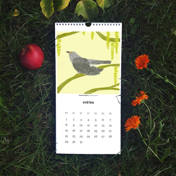 Kalendář PTÁCI 2023 | Markét ilustrace