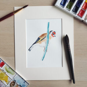 Stehlík obecný – akvarelový originál