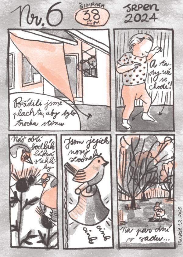 Šimpach č. p. 38 – Nr. 6