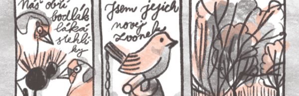 Přečtete si více ze článku Nr. 6 – srpen 2024