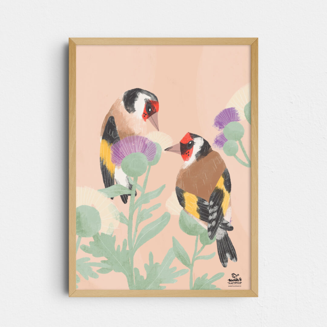 Stehlíci na bodláku (autorský tisk) | Markét ilustrace